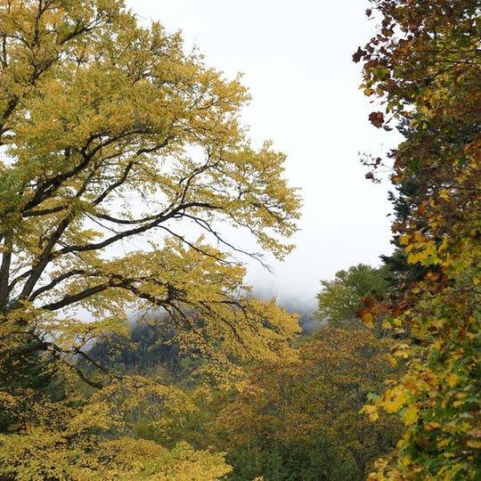 Kankoso Katashina ภายนอก รูปภาพ