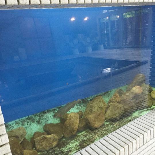 Kankoso Katashina ภายนอก รูปภาพ