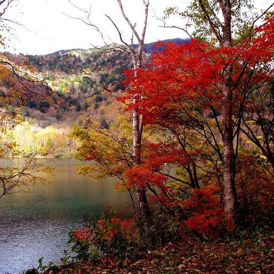Kankoso Katashina ภายนอก รูปภาพ